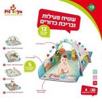 שטיח פעילות